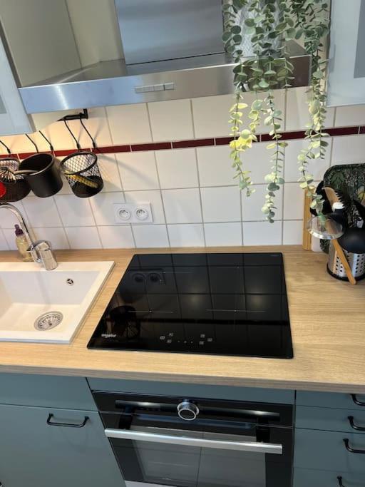 Adorable Appartement Strasbourg Neudorf Parking Sous Sol Экстерьер фото