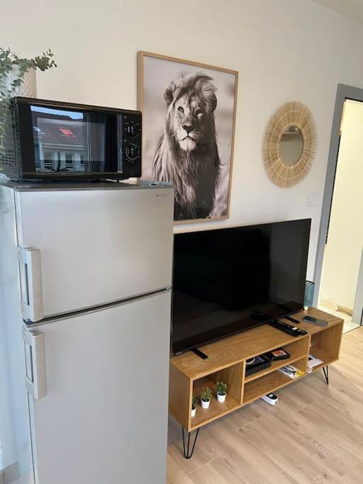 Adorable Appartement Strasbourg Neudorf Parking Sous Sol Экстерьер фото